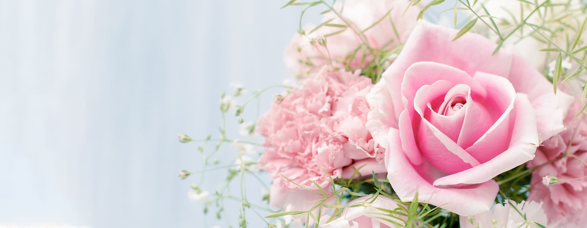 Ein Strauß rosafarbener Blumen mit grünem Beiwerk auf blauem Hintergrund