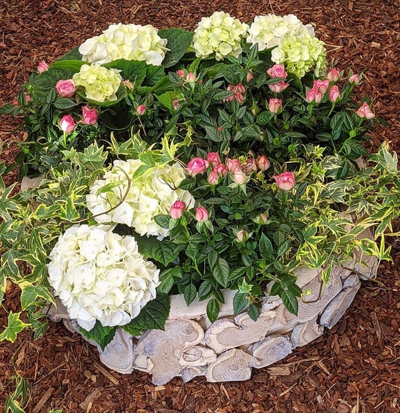 Zusammenstellung weißer und rosa Blumen hervorgehoben von grünem Beiwerk in dekorativem Blumentopf auf naturalem Grund