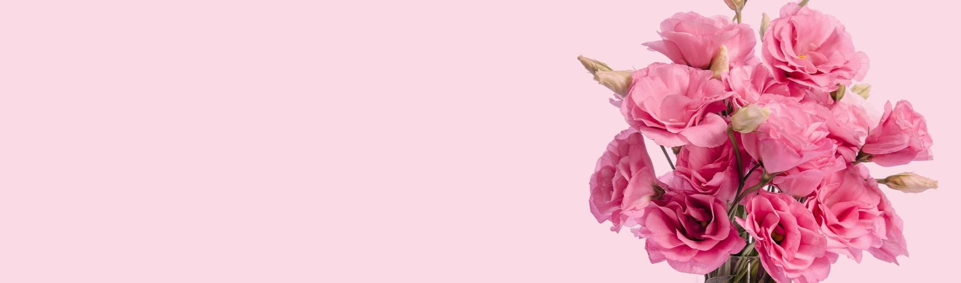 Ein Strauß rosafarbener Blumen auf hellem, rosafarbenem Hintergrund